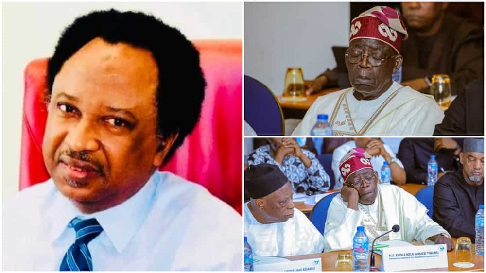 Shehu Sani reacts as Tinubu Dozes off at a meeting with Presidential Candidates.